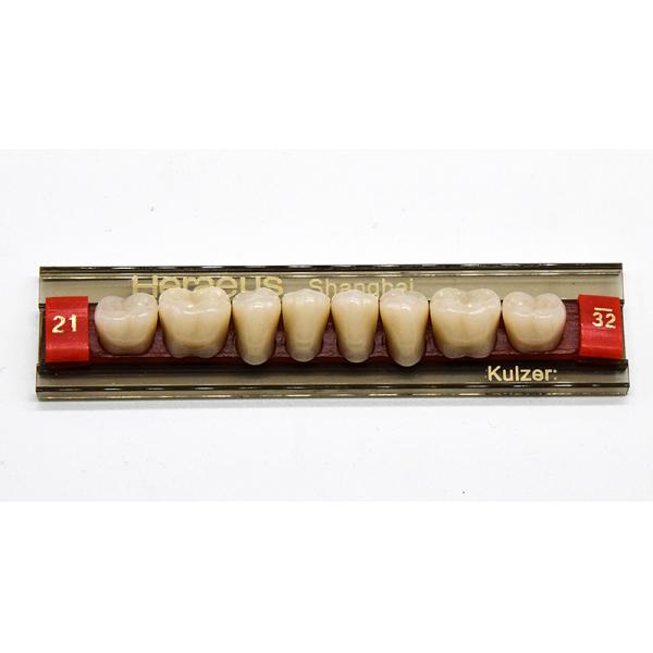 VITA System False Dental Teeth with Heraeus Teeth Form 1 Easy to Use