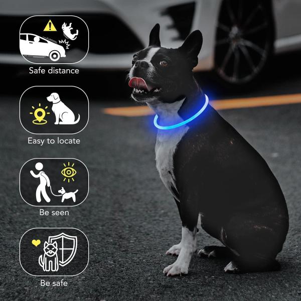 USB Rechargeable Waterproof Dog Collar for Night Walking and Training Solid Pattern