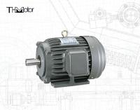 NEP TEFC NEMA Moteur à courant continu haute tension IP55 pour les convoyeurs à souffleurs