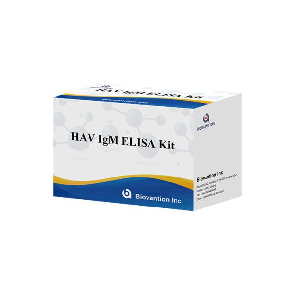Plasma IgM 96pcs Elisa Test Kit HAV Diagnos Antibody Test Kit