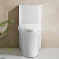 Toilettes ovales au plancher de salle de bains avec les lignes propres et le profil bas