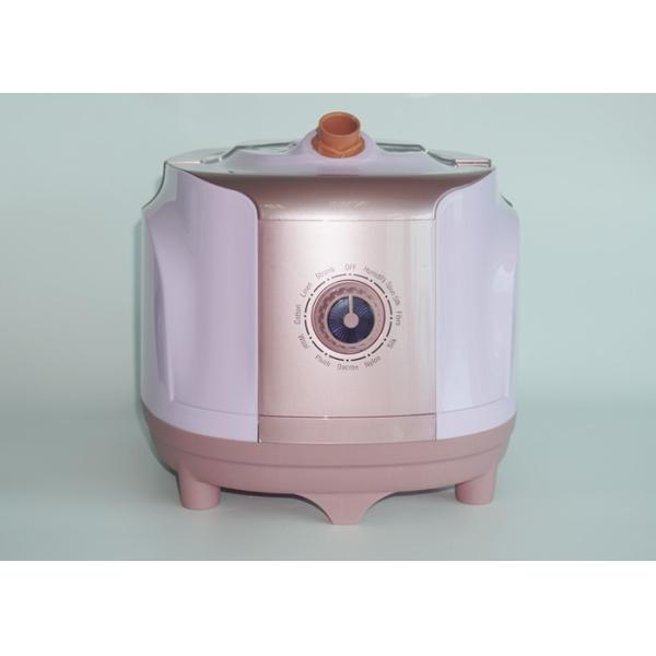 Iron Brush Type Portable Dress Steamer , Pink Handheld Travel Clothes Steamer