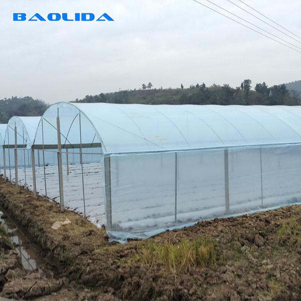 Крупноразмерный парник полиэтиленовой пленки/парник 20m до 100m земледелия длинное
