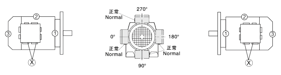 ER series inline helical gear motor