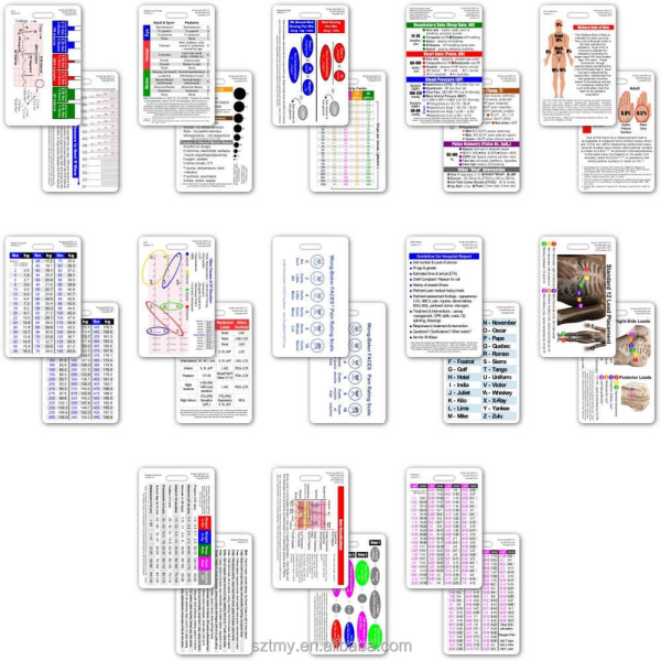Custom Waterproof Plastic RN CNA Nursing Student Internship Nurse Badge Set Lab Values EKG Vitals Pocket Label Printing