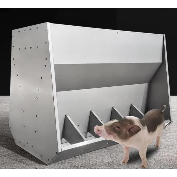 SS304 Fattening Pig Livestock Feeding Equipment 10 Holes Hog Feed Trough