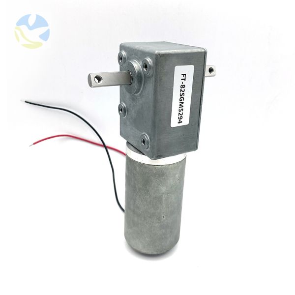 Custom FT-82SGM5294 Dual Output Shaft High Torque High Power DC Worm Gear Brushless Electric Motor