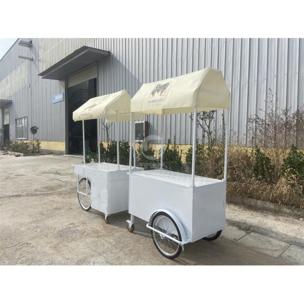 Small Portable Electric cart Cold Plate Push Umbrella Outdoor Mini Wheel Supermarket  Cart
