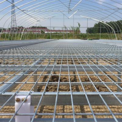 1.7m 1.8m Welded Wire Mesh Steel Rolling Benches Table Seedbed Para Vegetais Nursery Sedução em Estufas