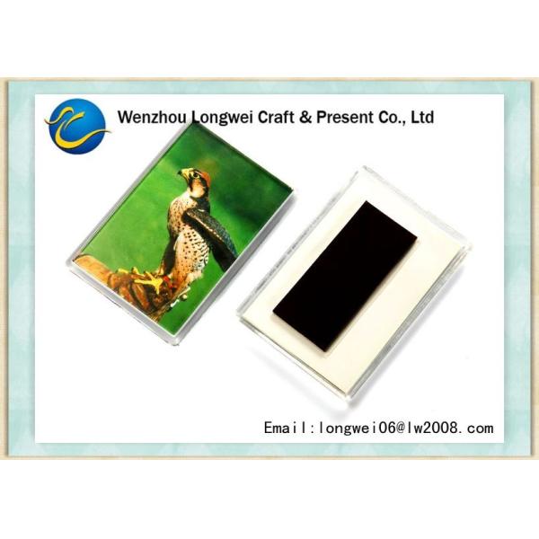 Магнит холодильника картины орла необыкновенный акриловый в форме прямоугольника