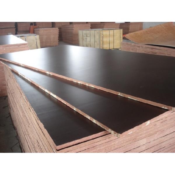 18mm black browm film faced plywood / construction plywood