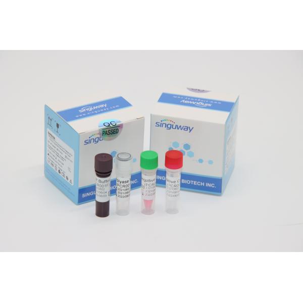 Mycobacterium Tuberculosis Virus RT PCR Diagnostic Kit Nasal Swab Within 30