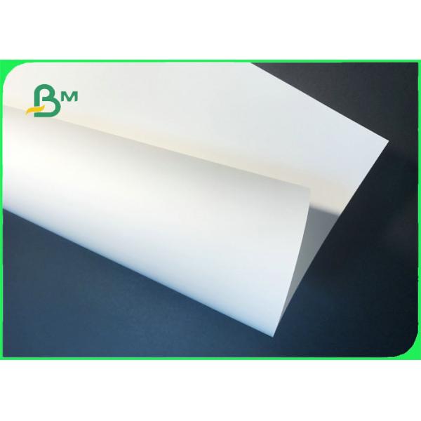 papel sintético À prova de água de papel sintético do ANIMAL DE ESTIMAÇÃO & dos PP 100um 200um 250um para a impressão das etiquetas