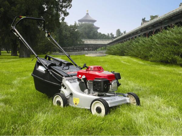 22 Inch Self - propelled garden lawn mover , portable petrol Lawn Mower