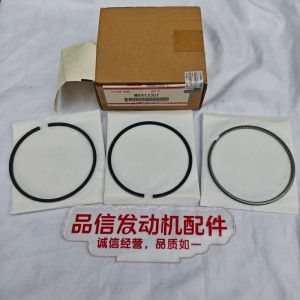 Engine Piston Ring