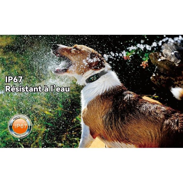 New Rechargeable Eco-Friendly IP67 Waterproof No-Shock Automatic Dog Bark Control Training Collar 5 Sensitivity Levels 20 Hours