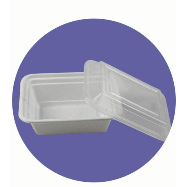 DISPOSABLE PLASTIC RECTANGULAR BOX, LUNCH BOX, WITH CLEAR LID/COVER