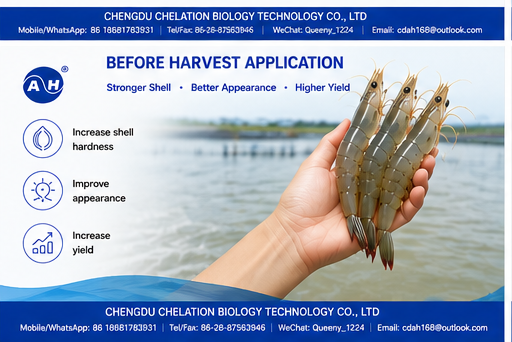 Aquaculture Feed Small Peptide Chelated Minerals+Calcium To Improve Shrimp Molting