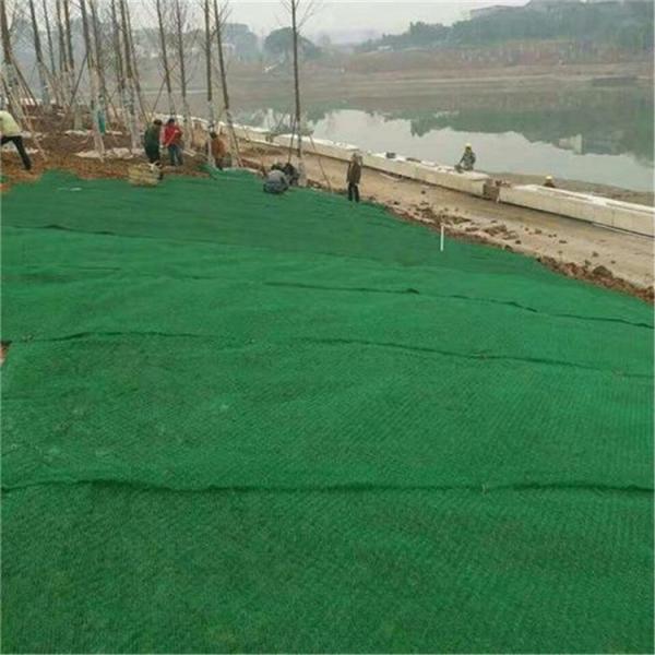 38mm 48mm 68mm Height Green Railway Erosion Control Mat for Slope Protection