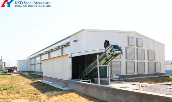 Galvanized Steel Poultry Shed for Large-Scale Chicken Farming