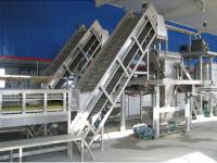 SUS304/316 Complete Pitaya Processing Line Customized Passion Fruit/Pitaya/Guava Production Plant Equipment With PLC For Fruit Factory