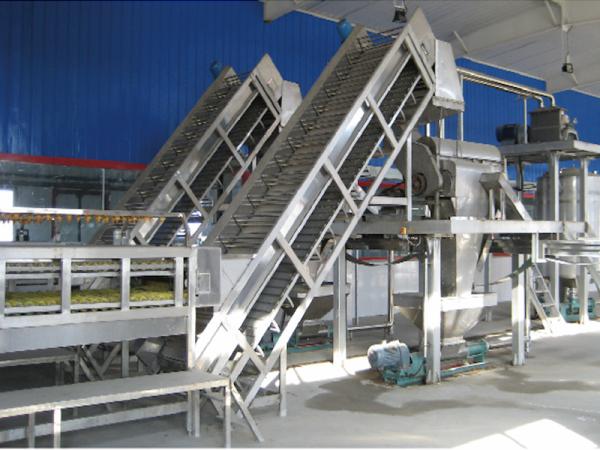 Fruit Vegetable Mango Pulp Processing Plant  2-5T/H SUS304