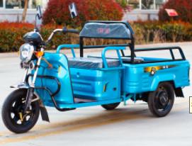 48V - 60V 500W Adultos Pequena Carga Elétrica Triciclo Scooter Família Uso