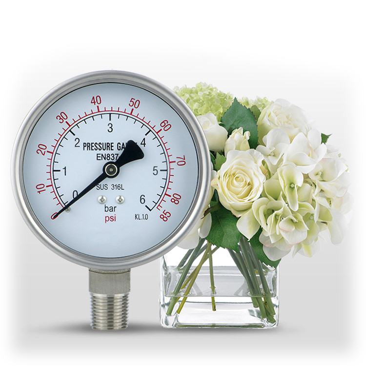 Precision 1.6%.2.5% Radial Manometer 304 Stainless Steel Pressure Gauge for Industrial