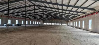 Q235B Q355B Steel Poultry House Prefabricated Hen Farm House Anti Corrosion