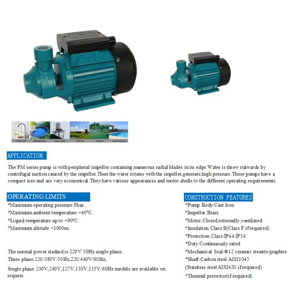 PM Series Vortex Peripheral Centrifugal Water Pump Aluminum Motor Housing 50M Head