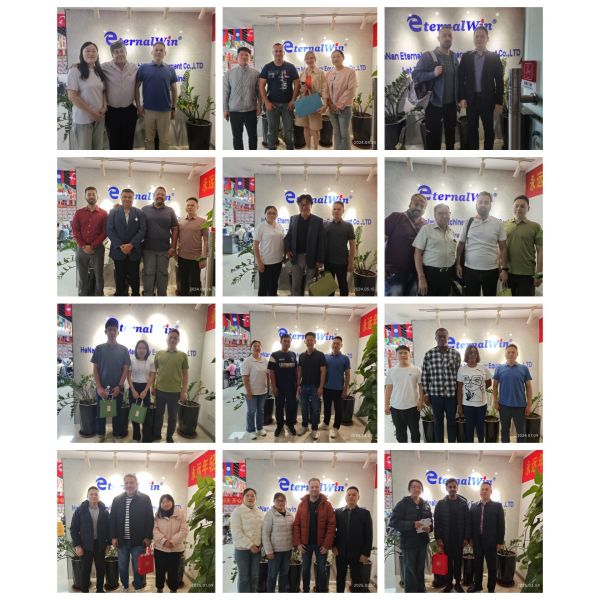 Self-erecting Hammerhead Tower Crane with Overload Protection and Remote Control for Construction Sites