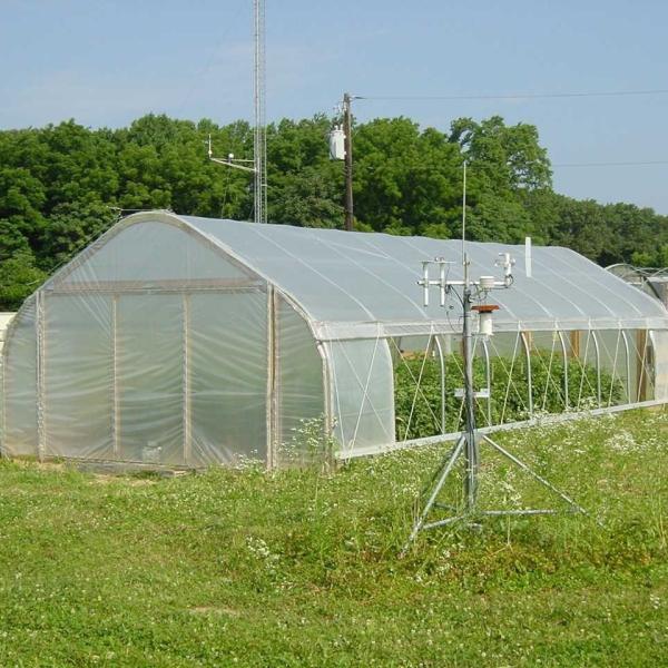 UV Resistant Single Span 200 Micron Plastic Film Polyethylene Film Greenhouse