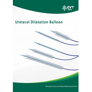 Fácil de operar Balón ureteral de inserción lisa Balón CBD con dispositivo de inflación