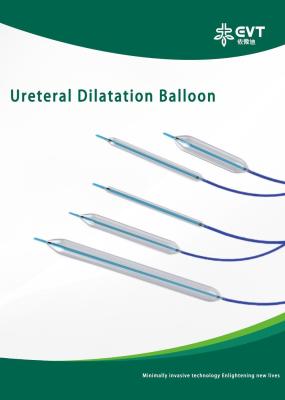 Easy Operation Ureteral Balloon Smooth Insertion CBD Balloon With Inflation Device