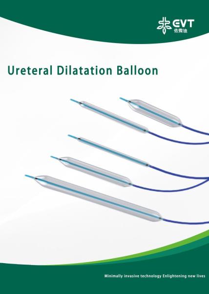 Easy Operation Ureteral Balloon Smooth Insertion CBD Balloon With Inflation Device