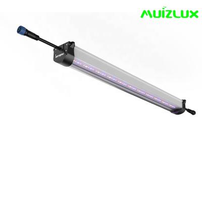 CE UKCA IP65 Tomate Led Grow Light Spectrum rouge bleu 30 Watt Led Grow Light Bar