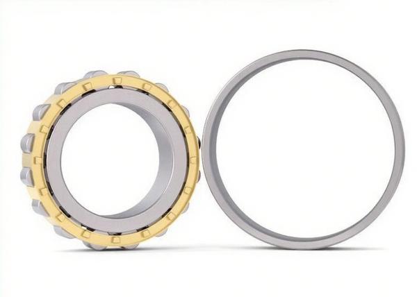 Roulement à rouleaux cylindriques à une rangée N310EM 50x110x27mm avec cage en laiton