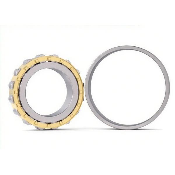 N310EM Single Row Cylindrical Roller Bearing Heavy Duty Brass Cage Bearing 50x110x27mm