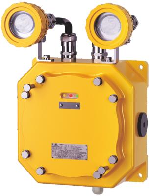 BAJ52-6 Series Explosion-proof Emergency Light Fittings