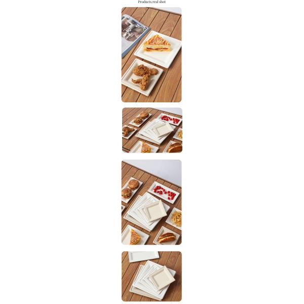 Biodegradable Disposable Cutlery and Dinnerware Round Shape Environmentally Friendly