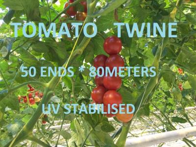 Tomate da estufa que amarra a corda plástica colorida da ráfia da embalagem do jardim da guita