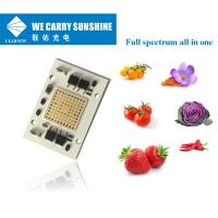 80-100umol/s MAZORCA LED 40*60m m de la CA 220V resistencia termal baja de la MAZORCA LED de 50 vatios