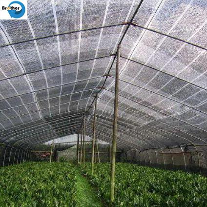 Hot Selling Black Shade Net Sun for Green House Agriculture Shading Rate 15%-90% Virgin Material HDPE