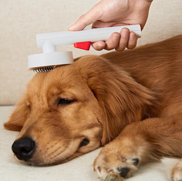 Do pente profundo da remoção do cabelo da massagem do animal de estimação dos TERMAS cor cor-de-rosa azul branca