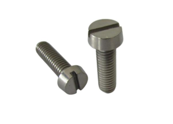 Polished M1-M10 Titanium Slotted Cheese Head Screws Manufacturers and Suppliers