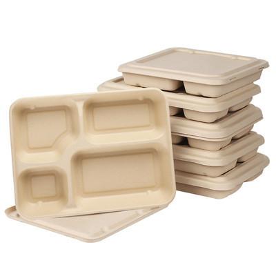 BPI BRC NSF 24*18*4cm Bagasse Lunch Box Microwavable Refrigerable