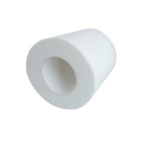 Hotel Practical Biodegradable Toilet Tissue , Odorless Jumbo Roll Tissue Paper