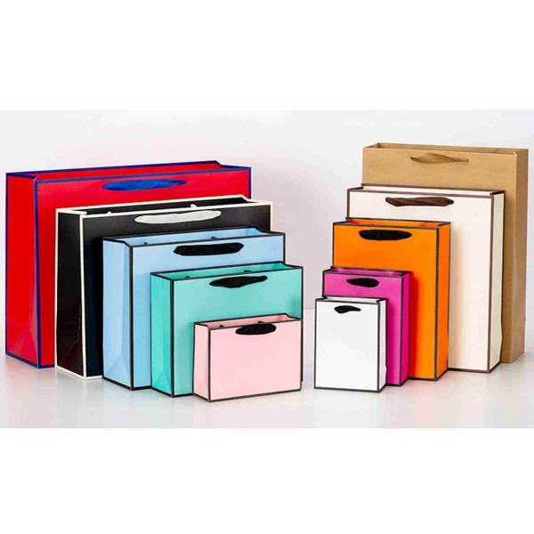 Personalized Pink Printed Paper Gift Bags Laminated Euro Tote Shopping Bags for Retail Shopping