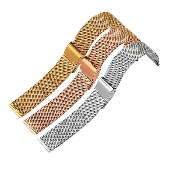PVD Stainless Steel Gold Watch Band · RoHS Compliant