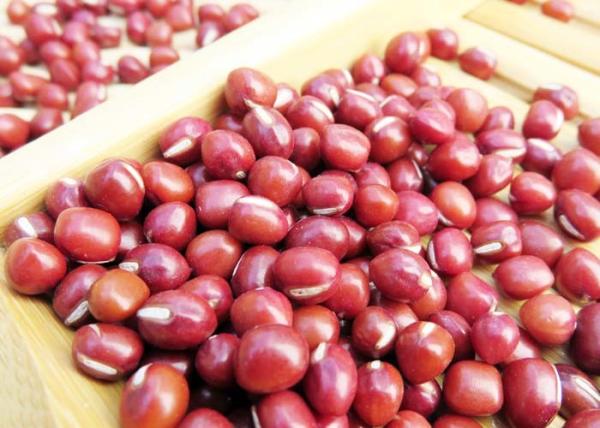 Organic Red Bean Adzuki Bean Powder 300 Mesh Natural Agricultural Products